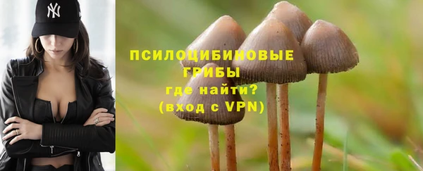 таблы Козловка