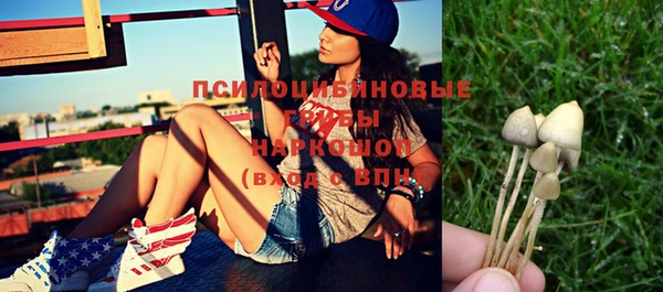 шишки Киренск