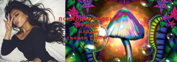 таблы Козловка