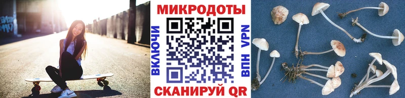 Купить где  Духовщина  Галлюциногенные грибы мухоморы 